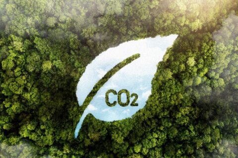 Mercado de carbono: uma solução climática e econômica?